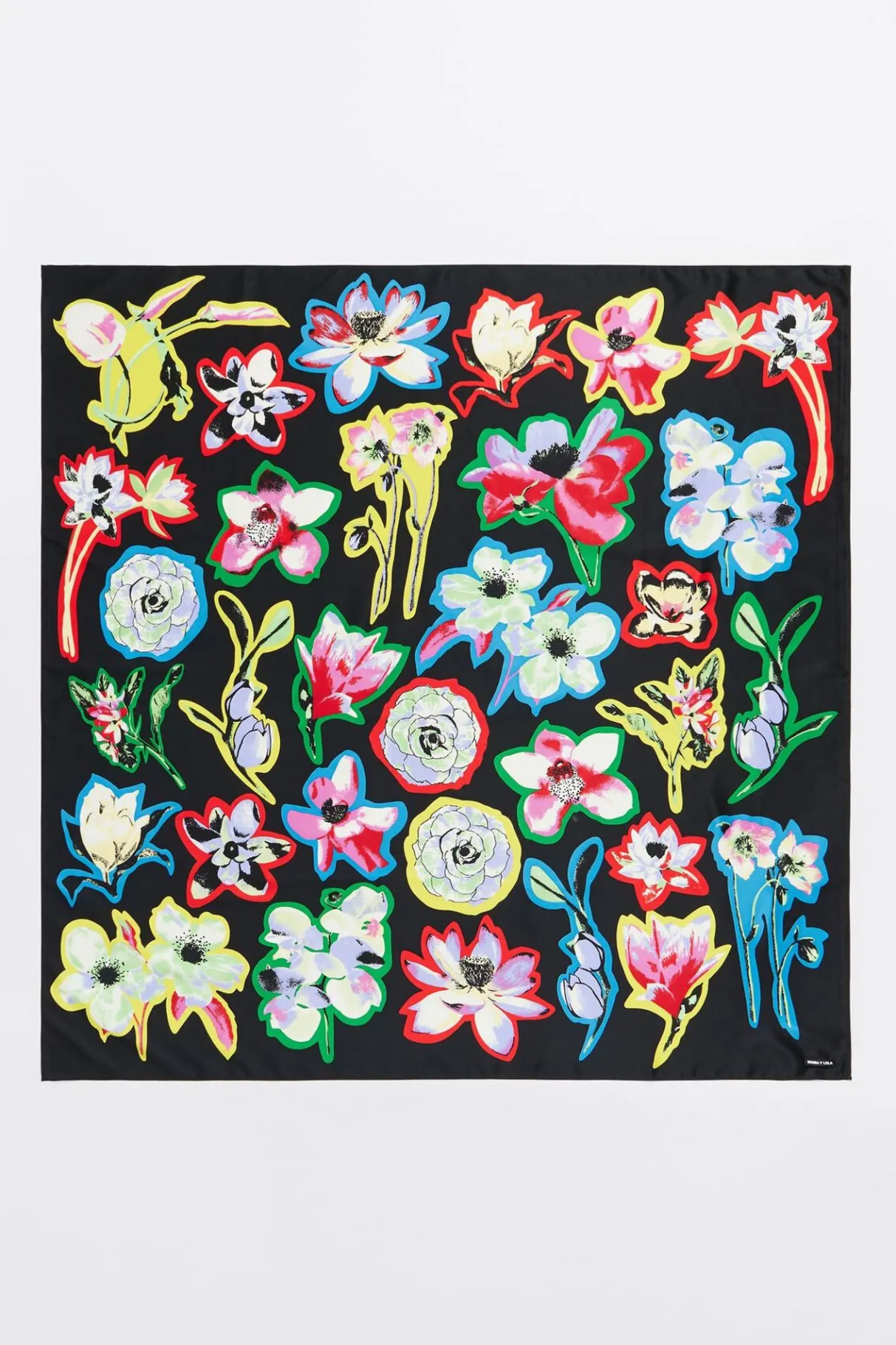 Mujer BIMBA Y LOLA Pañuelos<Panuelo Flores Negro